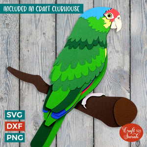 Red-Lored Amazon SVG | Layered Exotic Bird Cutting File