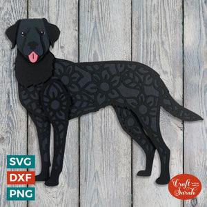 Labrador SVG | Layered American Labrador Dog Cutting File