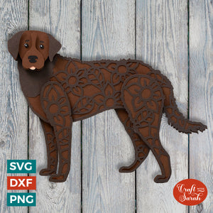 Chesapeake Bay Retriever SVG | Layered Curly Coat Retriever Cutting File