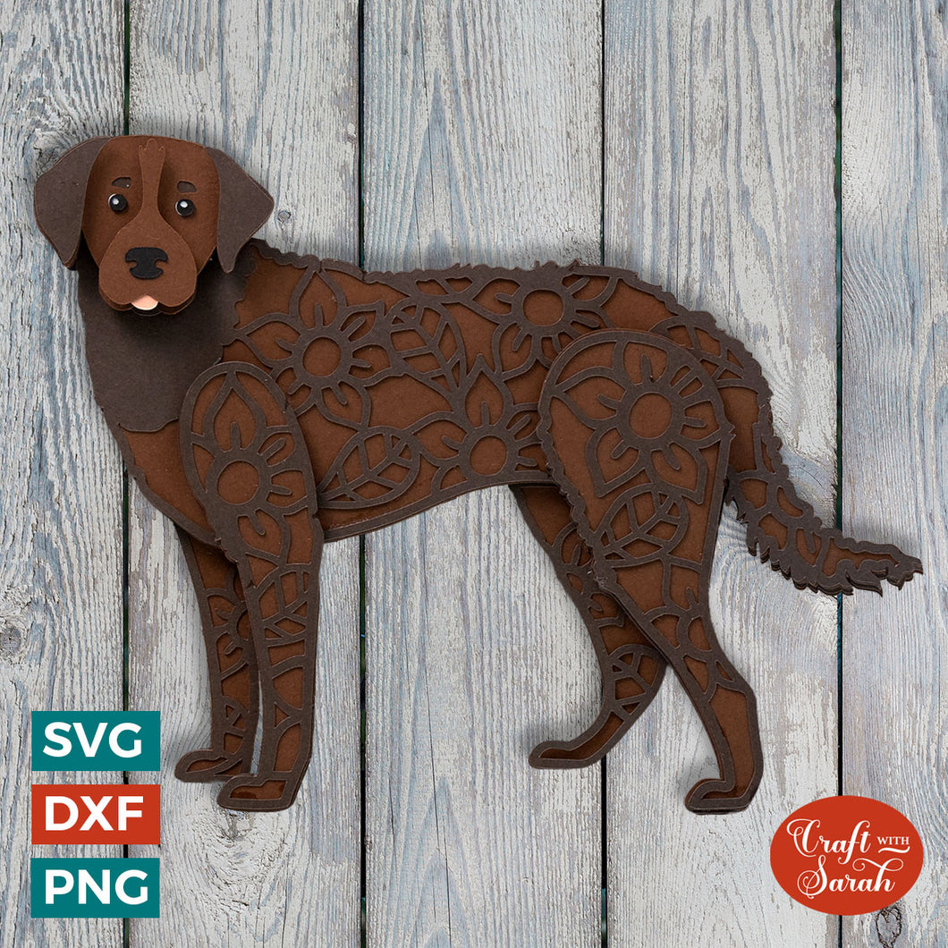 Chesapeake Bay Retriever SVG | Layered Curly Coat Retriever Cutting File