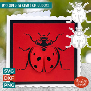 Popout Ladybird Card | "Cut & Fold" Greetings Card 9