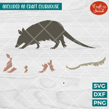 Load image into Gallery viewer, Armadillo SVG | Vinyl Version
